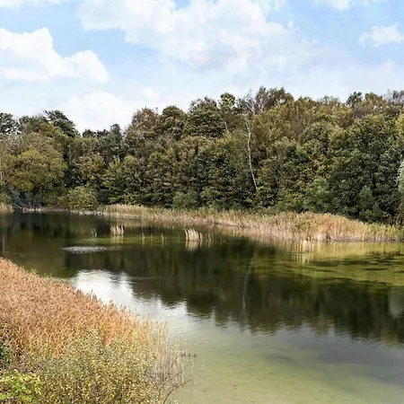 6 Person In Ferienhaus *